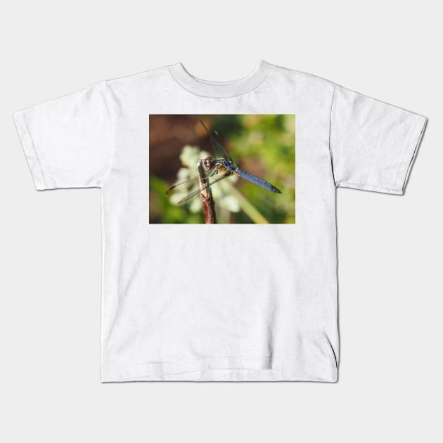 Blue dasher dragonfly (Pachydiplax longipennis) Kids T-Shirt by SDym Photography